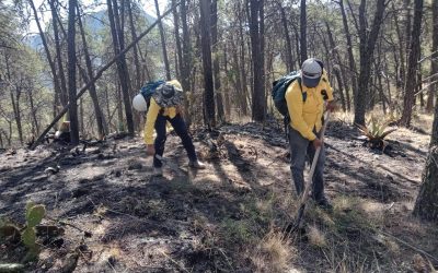 Continúa Arteaga apoyando incendio de Ramos Arizpe