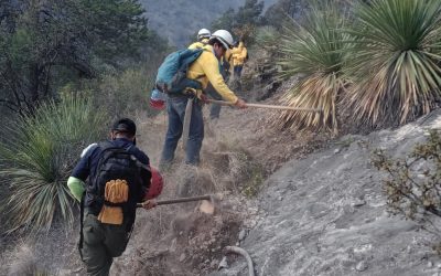 Construye Arteaga brecha corta fuego