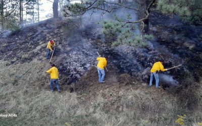 Apaga Protección Civil y Bomberos incendio en cabañas de San Antonio de las Alazanas