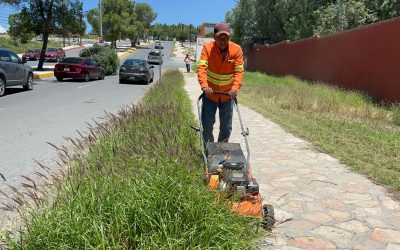 Embellece Arteaga camellones y espacios públicos