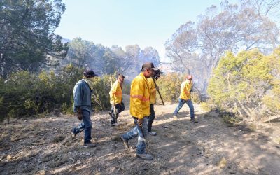 Controlado en un 95% el incendio forestal en la zona de El Diamante