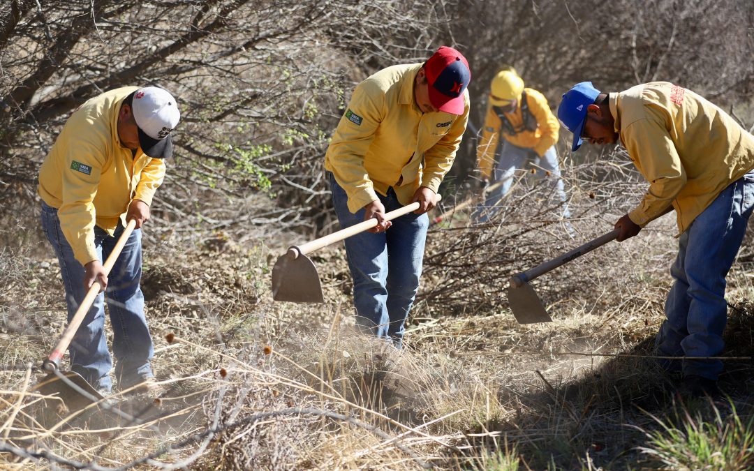 Refuerzan labores de limpieza y deshierbe en brechas y carreteras de la sierra de Arteaga para prevenir incendios
