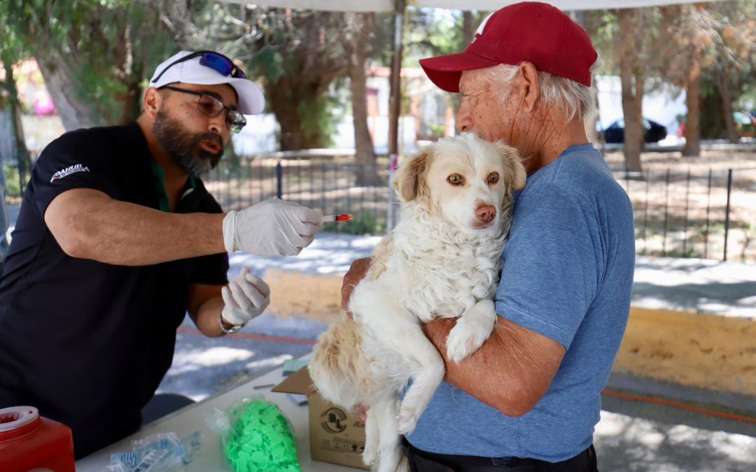 Arteaga impulsa acciones de salud preventiva con campaña de descacharrización y vacunación antirrábica